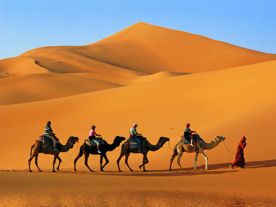 organizar rutas y viajes en todo Marruecos